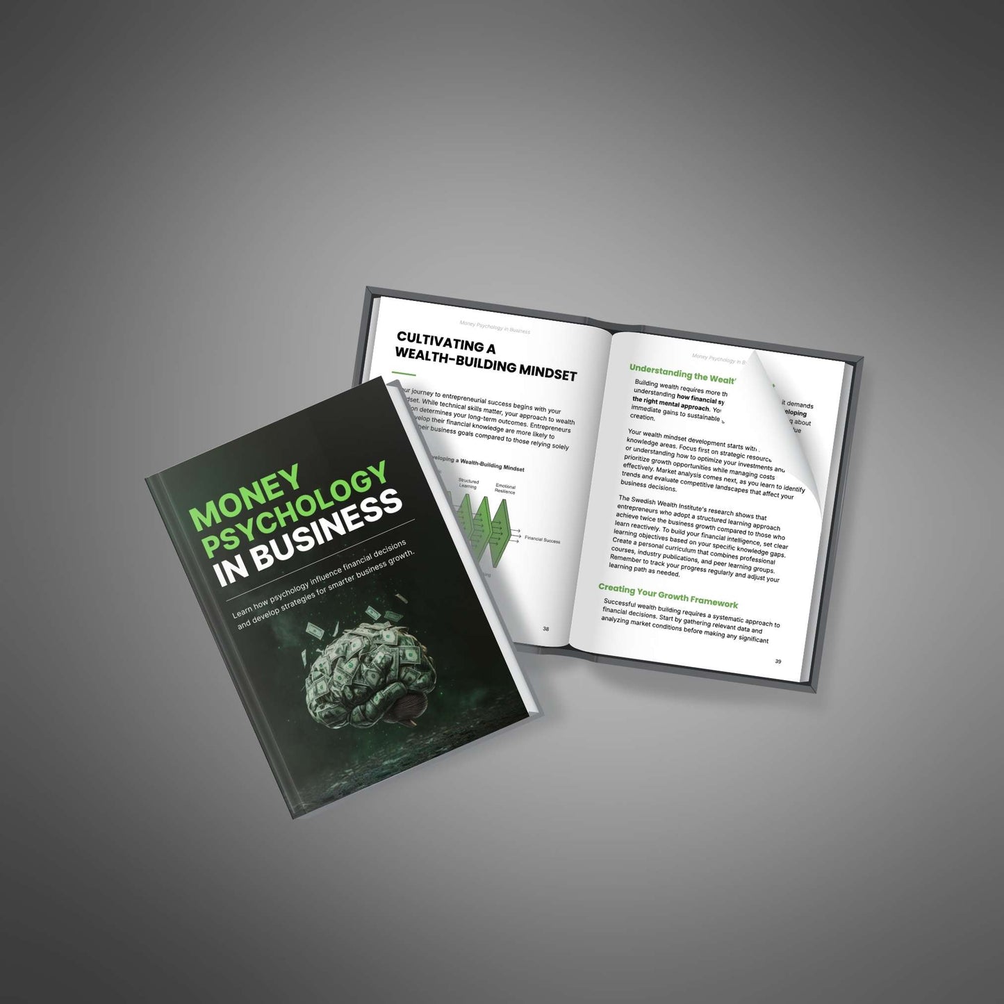 E-Book - Money Psychology in Business