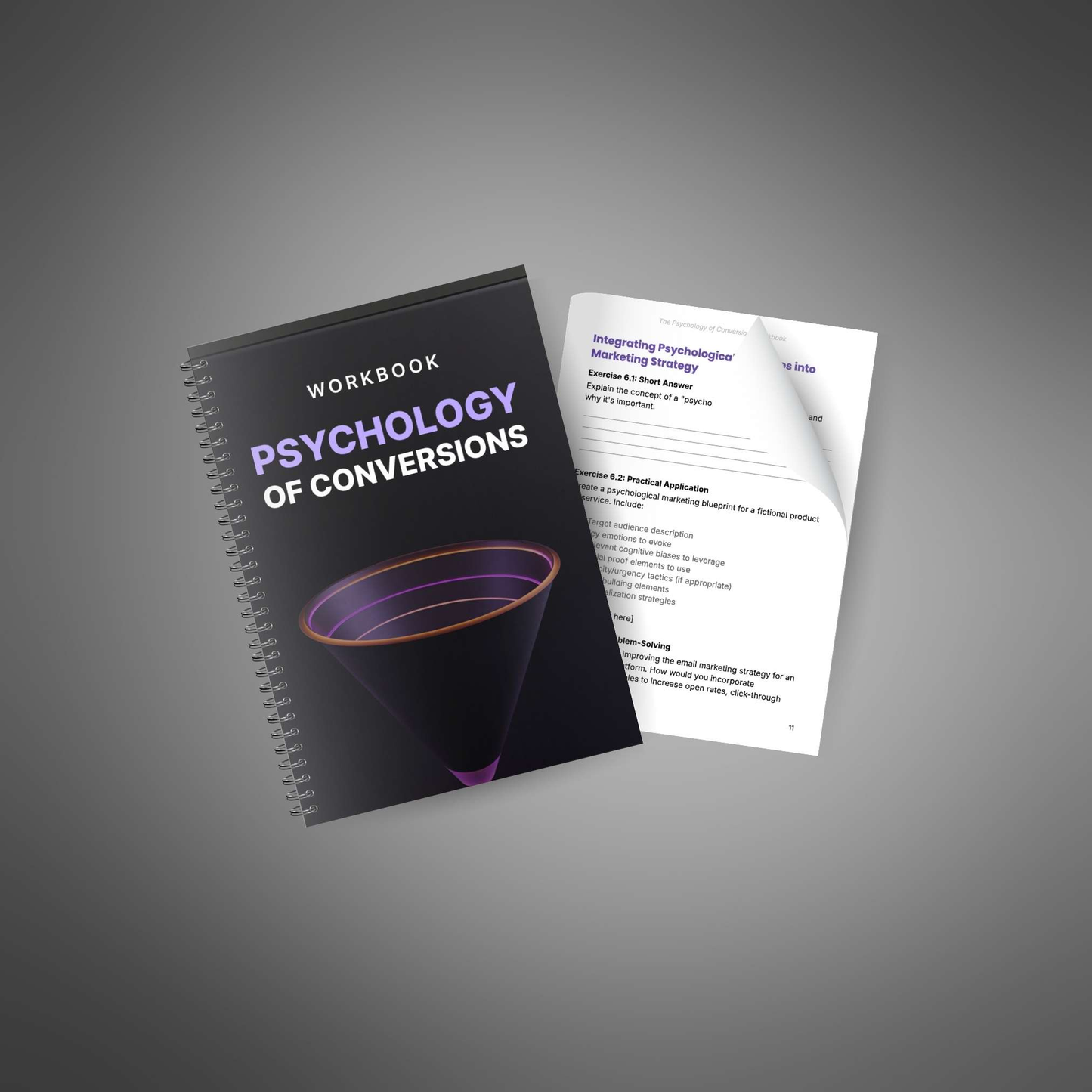 Workbook - The Psychology of Conversions